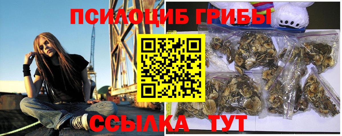 Галлюциногенные грибы ЛСД  Вход с VPN  сколько стоит  Пенза 