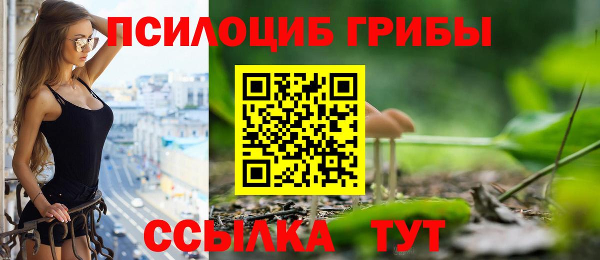 Псилоцибиновые грибы ЛСД Пенза