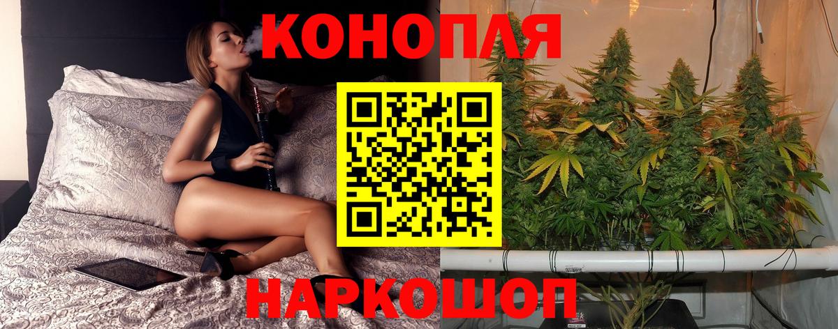Пенза  Канабис Amnesia  Шишки марихуана индика  Марихуана тримм  Вход с VPN 